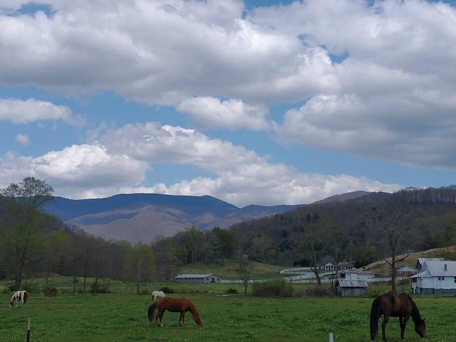 BarnardsvilleCountry Mountain Escape!别墅 外观 照片