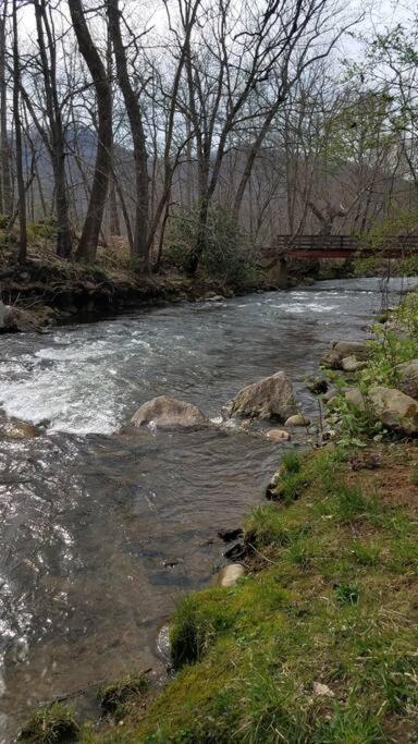 BarnardsvilleCountry Mountain Escape!别墅 外观 照片