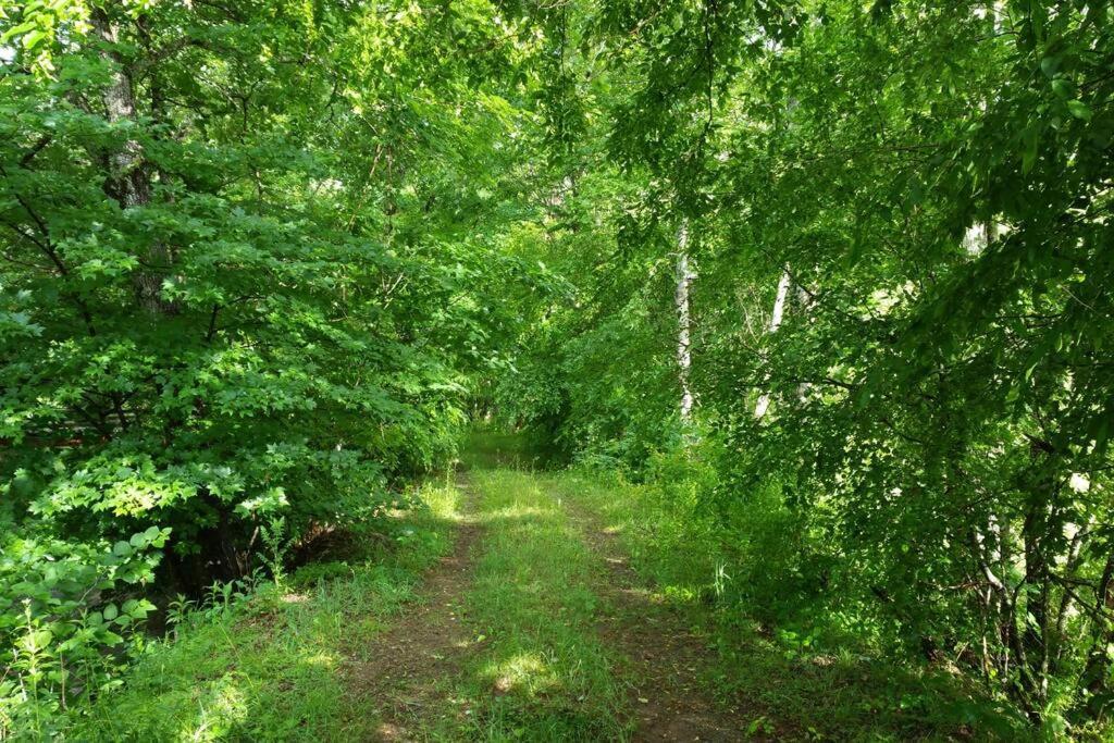 BarnardsvilleCountry Mountain Escape!别墅 外观 照片